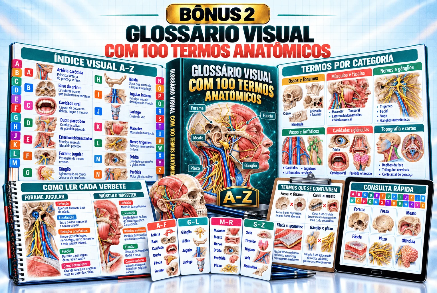 Glossário Visual com 100 Termos Anatômicos