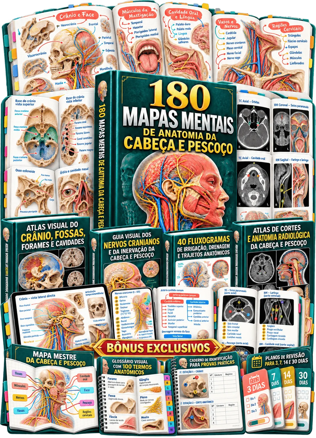 Tudo que você recebe — Kit 180 Mapas Mentais de Anatomia da Cabeça e Pescoço